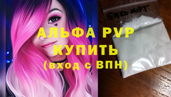 прущие грибы Белоозёрский