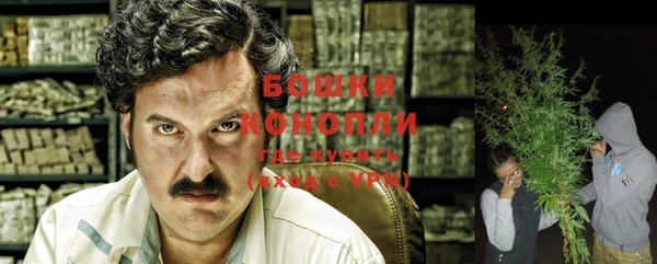 прущие грибы Белоозёрский