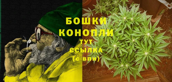прущие грибы Белоозёрский