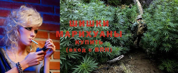 прущие грибы Белоозёрский