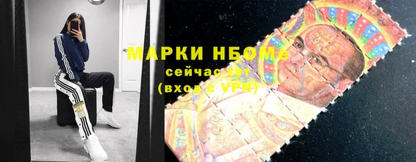 прущие грибы Белоозёрский